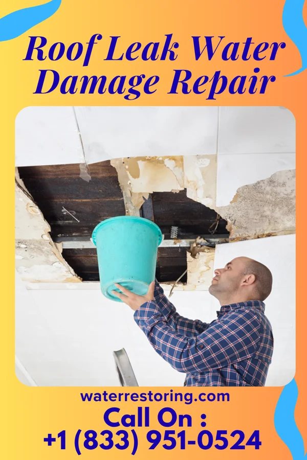 Roof Leak Water Damage Repair in Fenton, LA
