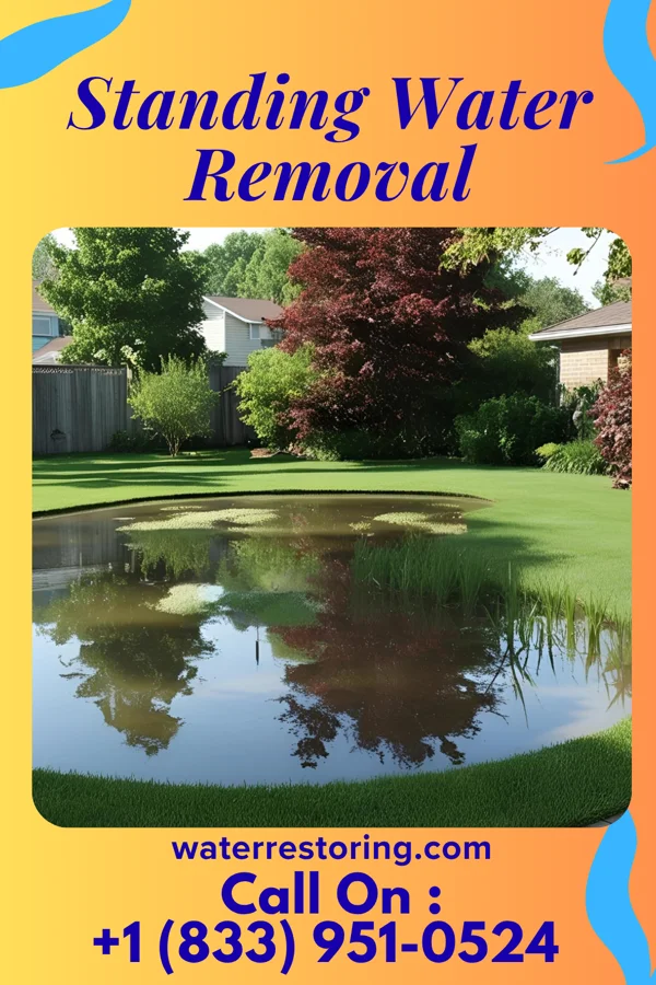 Standing Water Removal in Fenton, LA